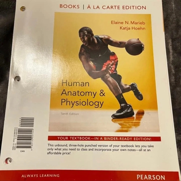 Human Anatomy and Physiology Looseleaf Textbook - Picture 3 of 3
